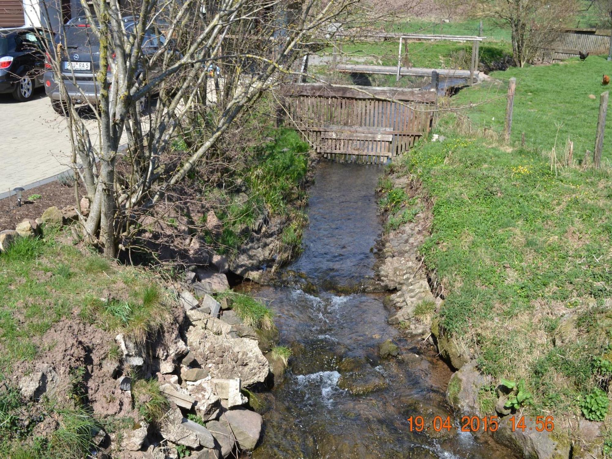 Quiet Apartment Along A Stream In Halenfeld Sellerich Bagian luar foto